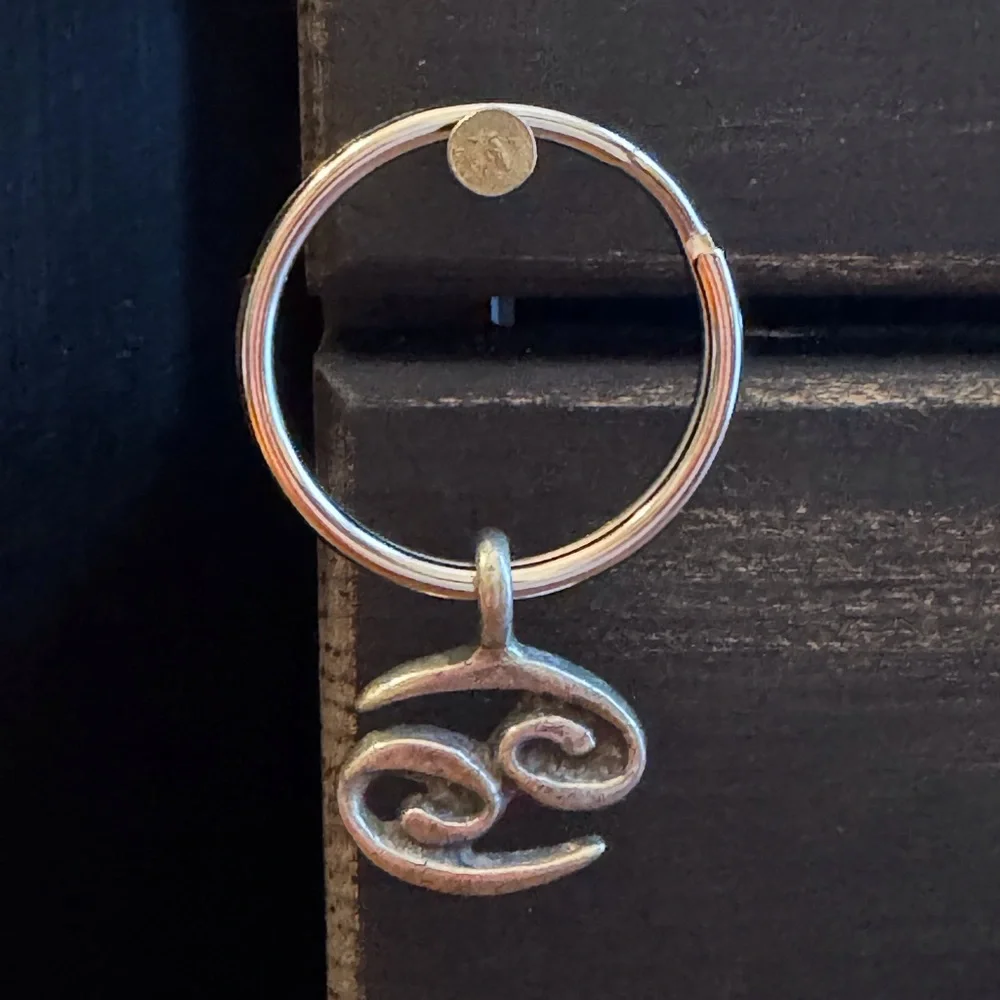 Birth Sign Key Ring